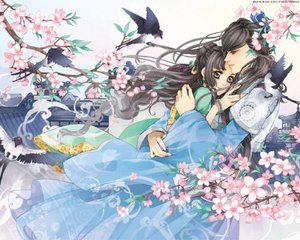 yw52777跳转接口